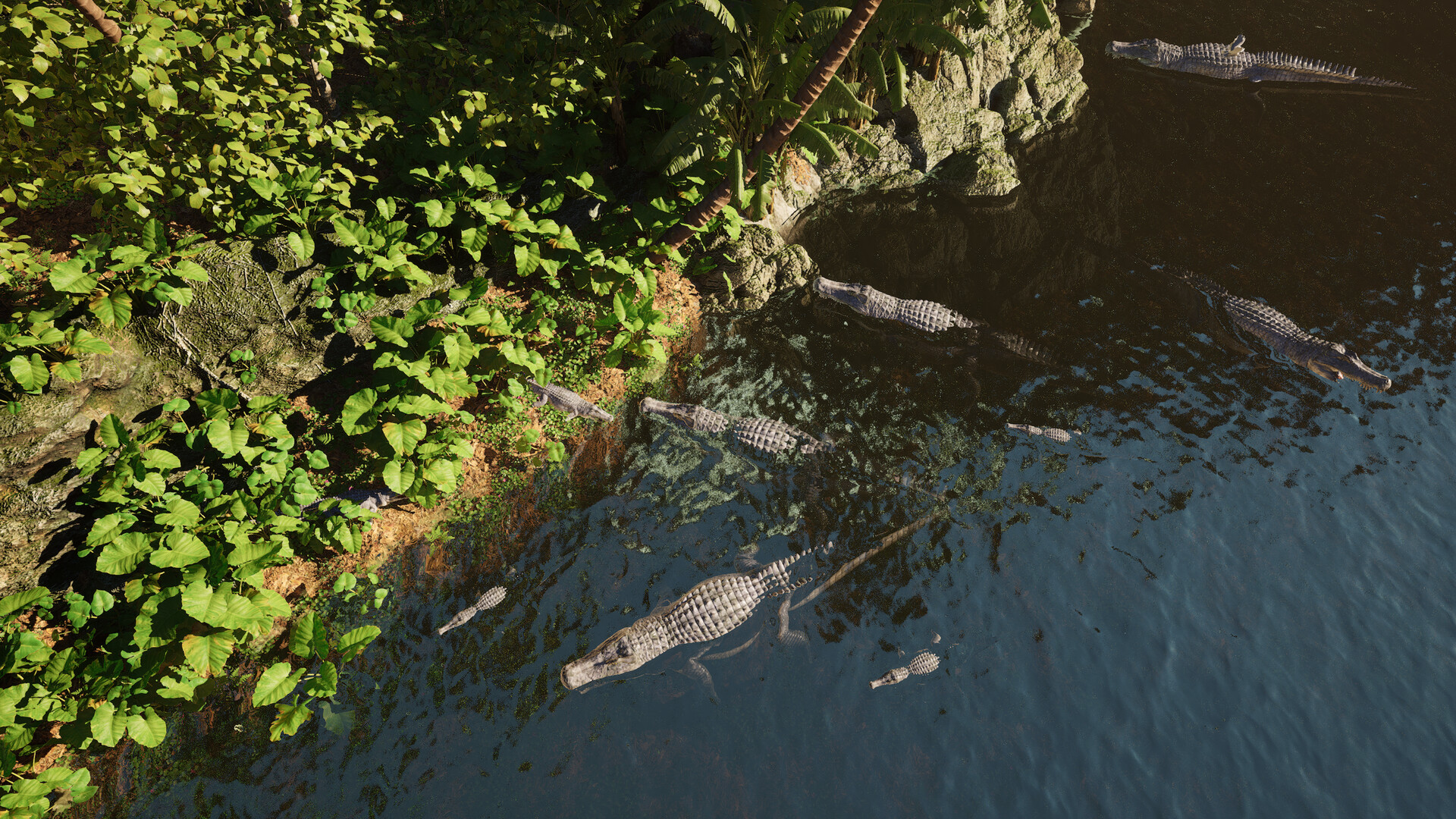 恐龙岛游戏截图-基地建造场景